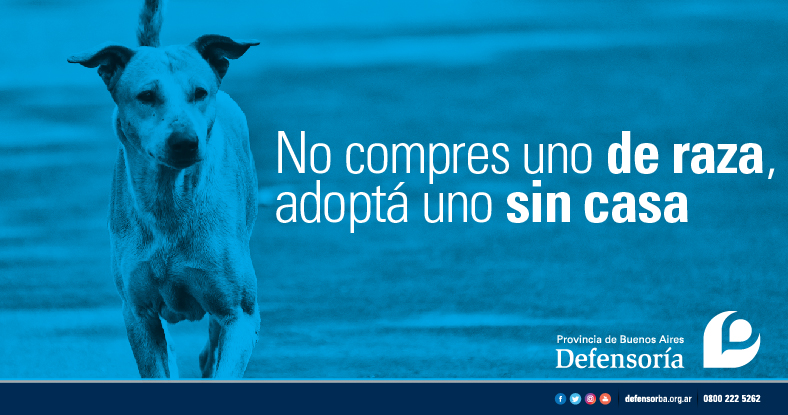 Actividades en distintos puntos de la Provincia por el día del Animal Abandonado