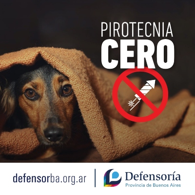 Bienvenido/a a tu Defensoría