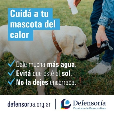 Bienvenido/a a tu Defensoría